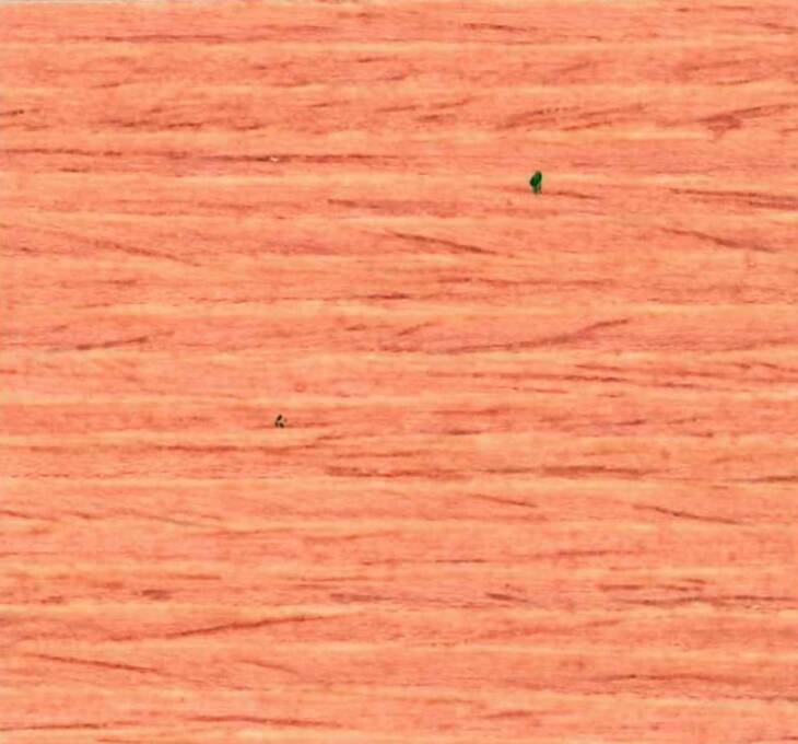 StopHolz Cera | finitura satinata a base di speciali resine sintetiche combinate con cere naturali - immagine 17